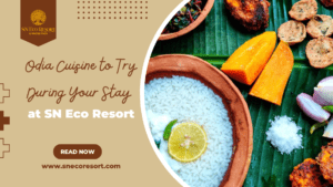 Odia Cuisine to Try During Your Stay at SN Eco Resort